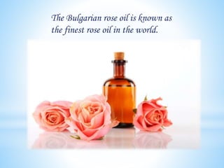 The Bulgarian rose oil is known as
the finest rose oil in the world.
 