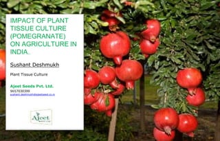 IMPACT OF PLANT
TISSUE CULTURE
(POMEGRANATE)
ON AGRICULTURE IN
INDIA..RE IN INDIA
Sushant Deshmukh
Plant Tissue Culture
Ajeet Seeds Pvt. Ltd.
9657030399
sushant.deshmukh@ajeetseed.co.in
 