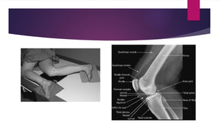 positioning presentation (radiology).pptx