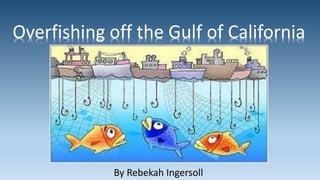 Overfishing off the Gulf of California
By Rebekah Ingersoll
 