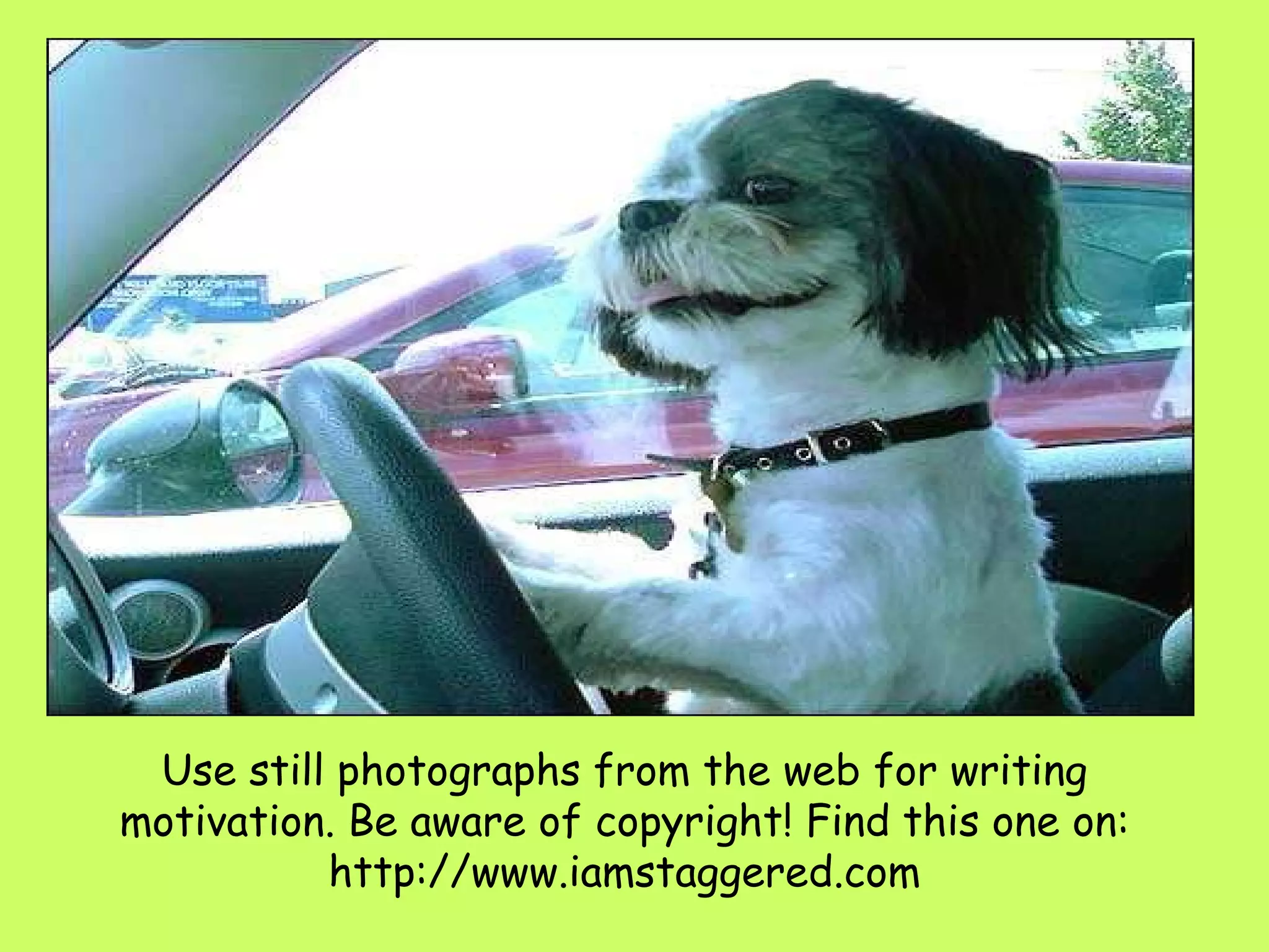 Use still photographs from the web for writing motivation. Be aware of copyright! Find this one on: http://www.iamstaggered.com 