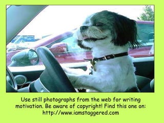 Use still photographs from the web for writing motivation. Be aware of copyright! Find this one on: http://www.iamstaggered.com 