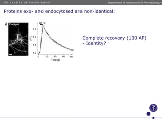 Proteins exo- and endocytosed are non-identical:
Complete recovery (100 AP)
- Identity?
Department of Neuroscience & Pharmachology
 