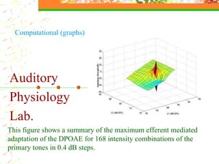 Auditory  Physiology  Lab. This figure shows a summary of the maximum efferent mediated adaptation of the DPOAE for 168 intensity combinations of the primary tones in 0.4 dB steps.  Computational (graphs)  