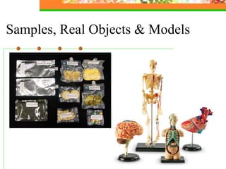 Samples, Real Objects & Models 