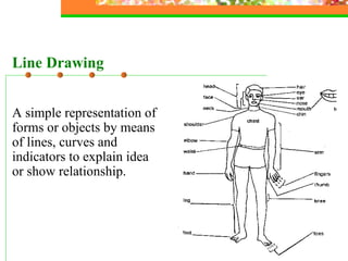 A simple and attractive artwork that helps simplify concept or make an idea or relationship simple and clear. Illustrated Drawing 