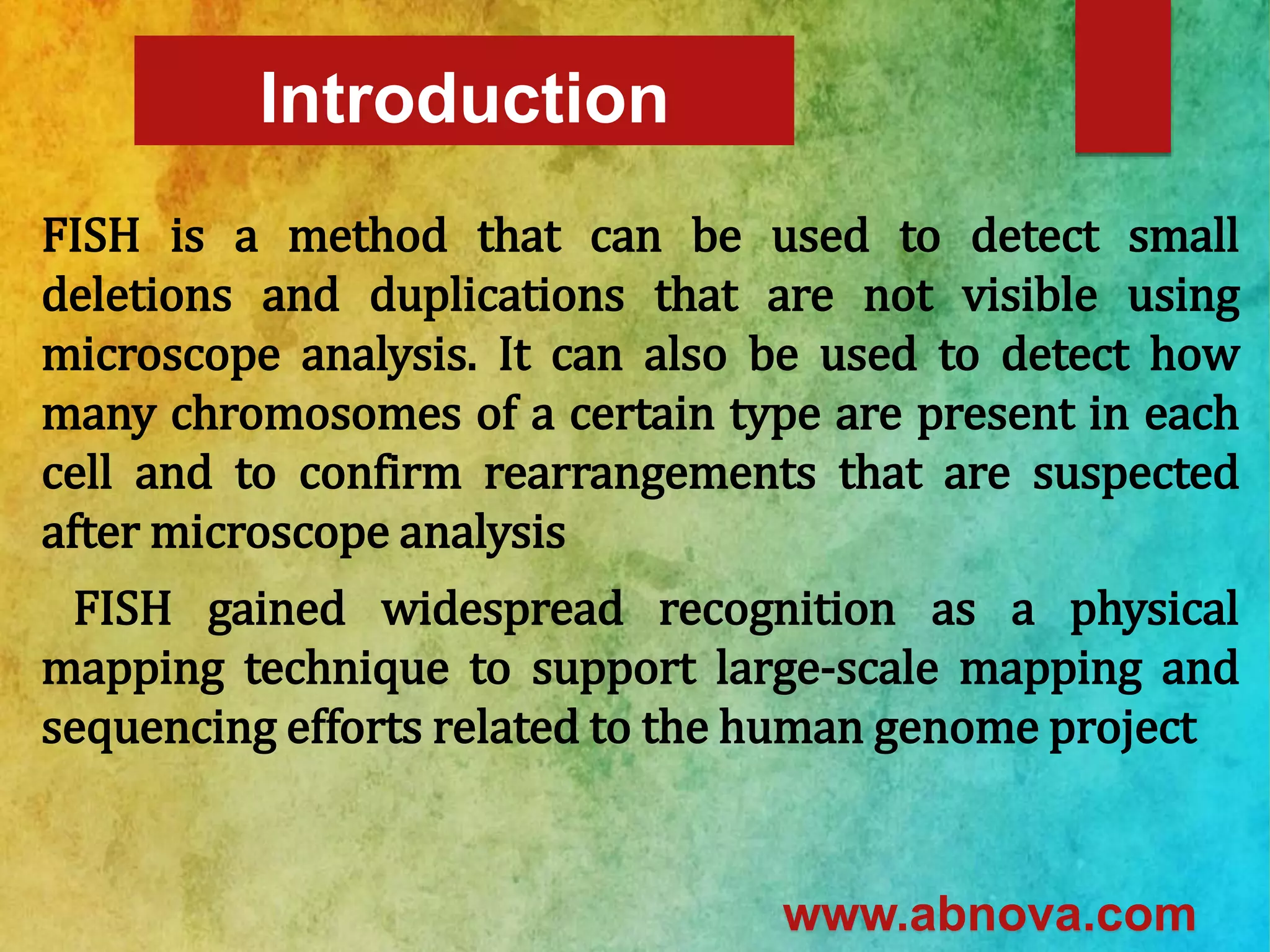 fish- Fluorescence in situ hybridization | PPTX