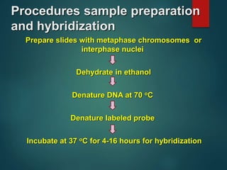 Procedures sample preparation
and hybridization
Prepare slides with metaphase chromosomes or
interphase nuclei
Dehydrate in ethanol
Denature DNA at 70 oC
Denature labeled probe
Incubate at 37 oC for 4-16 hours for hybridization
 