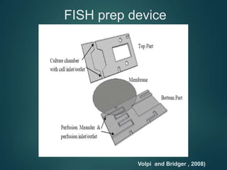 FISH prep device
Volpi and Bridger , 2008)
 