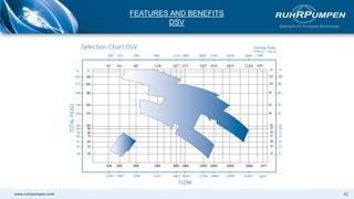 www.ruhrpumpen.com
FEATURES AND BENEFITS
DSV
42
 