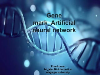Premkumar
Ist_Msc Bioinformatics
Alagappa university
Gene
mark_Artificial
neural network
 