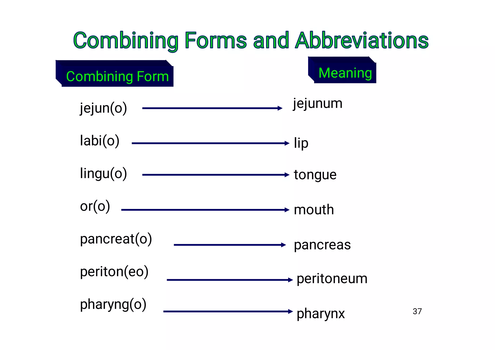 Medical terminology: digestive system | PDF