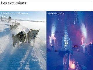 Les excursions
                            Hôtel de glace
Initiation au traîneau à   Hôtel de glace
chiens
 