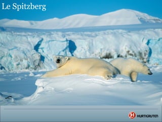 Le Spitzberg
 