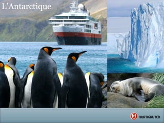 L’Antarctique
L’antarctique
 