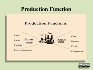 Production Function
 