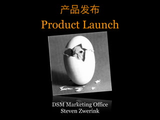 Product Launch




  DSM Marketing Office
    Steven Zwerink
 