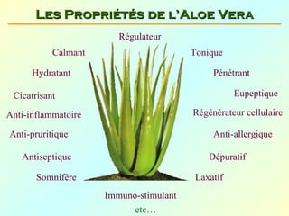 Les Propriétés de l’Aloe Vera
                        Régulateur
           Calmant                      Tonique

      Hydratant                              Pénétrant

 Cicatrisant                                      Eupeptique

Anti-inflammatoire                      Régénérateur cellulaire

Anti-pruritique                              Anti-allergique

   Antiseptique                             Dépuratif

       Somnifère                        Laxatif
                     Immuno-stimulant
                           etc…
 