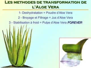 Les methodes de transformation de
           l’Aloe Vera
        1- Deshydratation = Poudre d’Aloe Vera
       2 - Broyage et Filtrage = Jus d’Aloe Vera
 3 - Stabilisation à froid = Pulpe d’Aloe Vera FOREVER
 