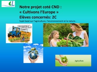Notre projet coté CND : 
« Cultivons l’Europe » 
Elèves concernés: 2C 
Sujet basé sur l’agriculture, l’environnement et la nature.. 
 