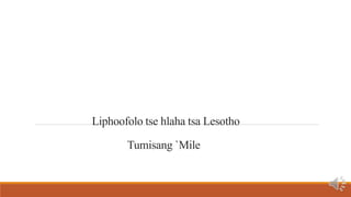 Liphoofolo tse hlaha tsa Lesotho
Tumisang `Mile
 