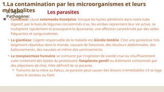 • l’amibiase: cause entamoeba histolytica. lorsque les kystes pénètrent dans notre tube
digestif, par le biais de légumes consommés crus, les amibes reprennent leur vie active, se
multiplient rapidement et provoquent la dysenterie, une affection caractérisée par des selles
fréquentes et sanguinolentes.
• La giardiase: L’agent responsable de la maladie est Giardia lamblia. C’est une parasitose très
largement répandue dans le monde, causant de l’anorexie, des douleurs abdominales, des
ballonnements, des nausées et même des vomissements.
• La toxoplasmose humaine se contracte par l'ingestion de viande crue ou insuffisamment
cuite contenant des kystes du protozoaire Toxoplasma gondii ou d'aliments contaminés par
des déjections de chat, hôte définitif de ce parasite.
 Transmis de la mère au fœtus, ce parasite peut causer des lésions irrémédiables s'il se loge
dans le cerveau ou l'oeil.
Les parasites
1.La contamination par les microorganismes et leurs
métabolites
b. Agent
Pathogène:
 