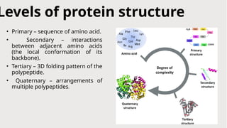 Presentation protein structure......by ARJUMAND, ALIGARH MUSLIM ...