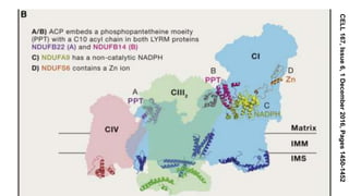 CELL167,Issue6,1December2016,Pages1450-1452
 