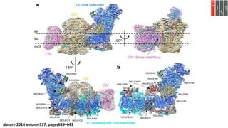 Nature 2016 volume537, pages639–643
 