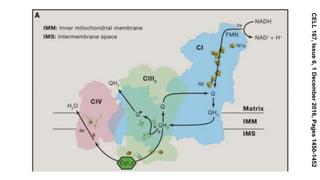CELL167,Issue6,1December2016,Pages1450-1452
 