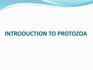 INTRODUCTION TO PROTOZOA
 