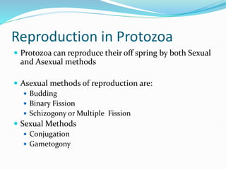 Reproduction in Protozoa
 Protozoa can reproduce their off spring by both Sexual
and Asexual methods
 Asexual methods of reproduction are:
 Budding
 Binary Fission
 Schizogony or Multiple Fission
 Sexual Methods
 Conjugation
 Gametogony
 