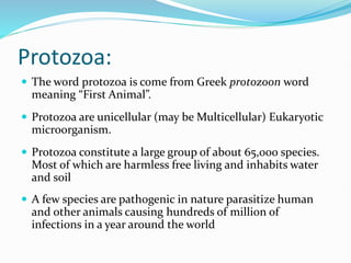 Protozoa:
 The word protozoa is come from Greek protozoon word
meaning “First Animal”.
 Protozoa are unicellular (may be Multicellular) Eukaryotic
microorganism.
 Protozoa constitute a large group of about 65,000 species.
Most of which are harmless free living and inhabits water
and soil
 A few species are pathogenic in nature parasitize human
and other animals causing hundreds of million of
infections in a year around the world
 