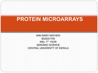 ANN MARY MATHEW
BGS051705
MSc. IST YEAR
GENOMIC SCIENCE
CENTRAL UNIVERSITY OF KERALA
PROTEIN MICROARRAYS
 