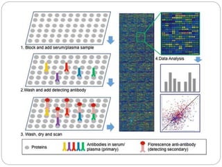 PROTEIN MICROARRAYS | PPTX