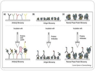 PROTEIN MICROARRAYS | PPTX