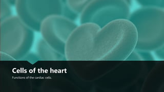 Cells of the heart
Functions of the cardiac cells.
 
