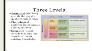 Levels of Processing Modeling in Psychology.pptx