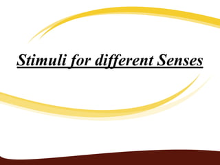 Stimuli for different Senses 