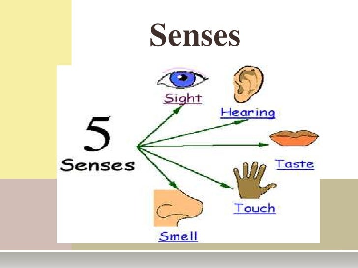 Out of senses. Out of senses