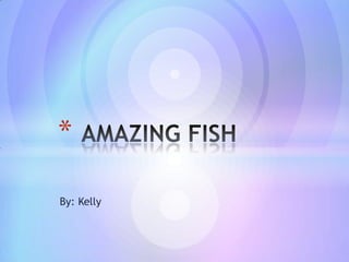 By: Kelly   AMAZING FISH 