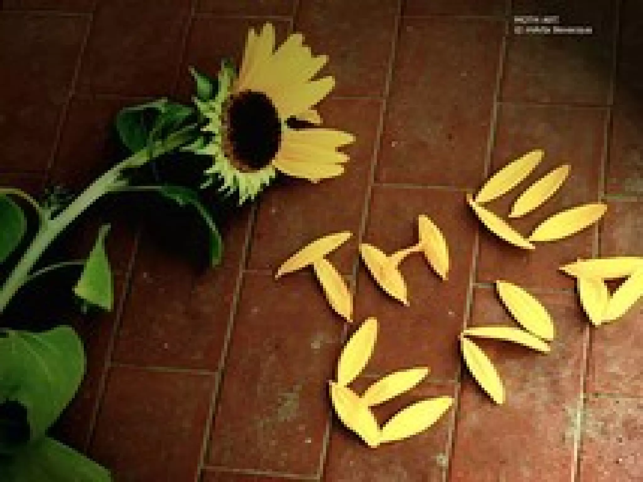 STORY ELEMENT BY GROUP OF PU, ICS STUDENTS