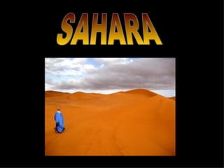 SAHARA 