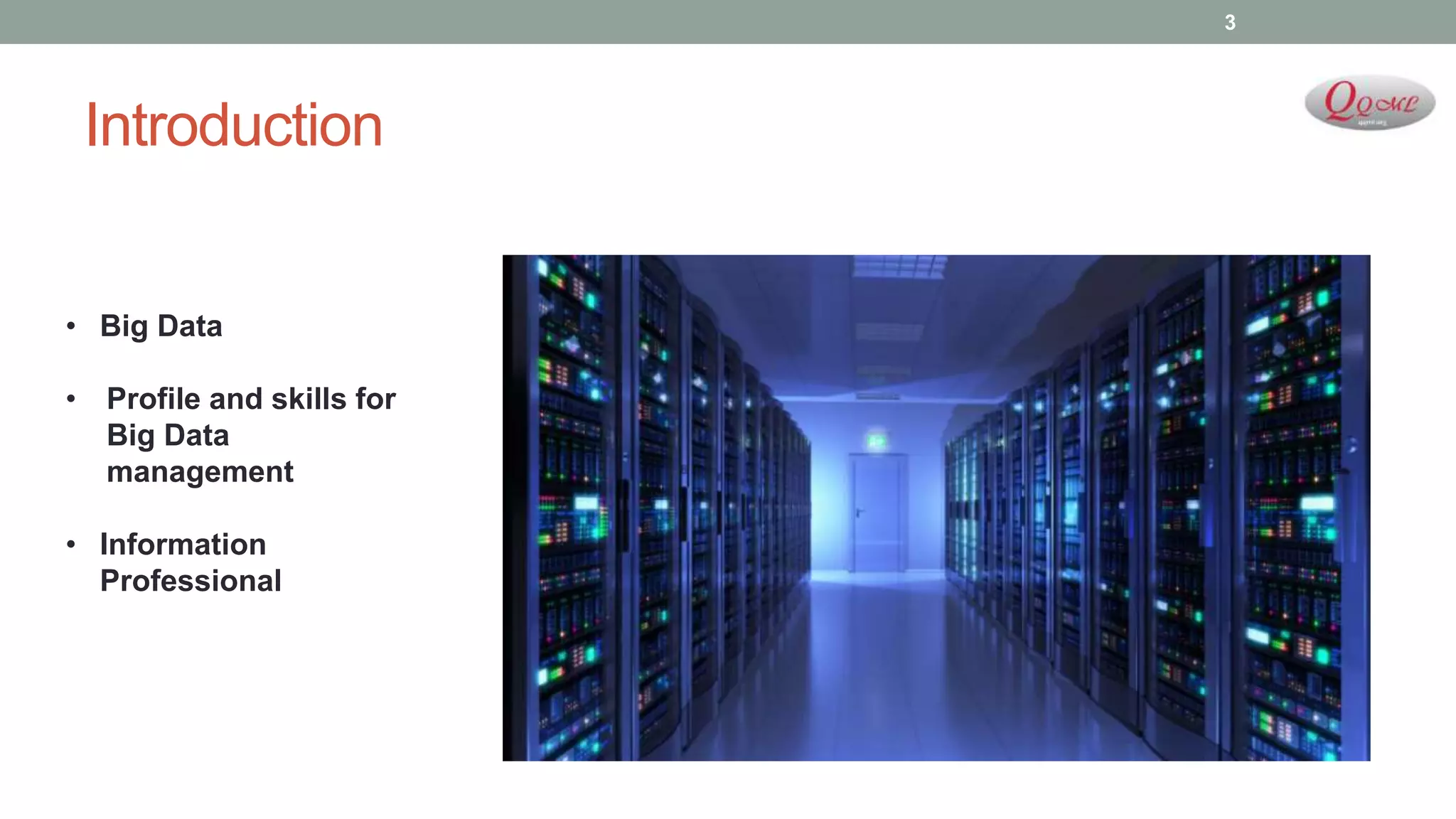 Introduction
3
• Big Data
• Profile and skills for
Big Data
management
• Information
Professional
 