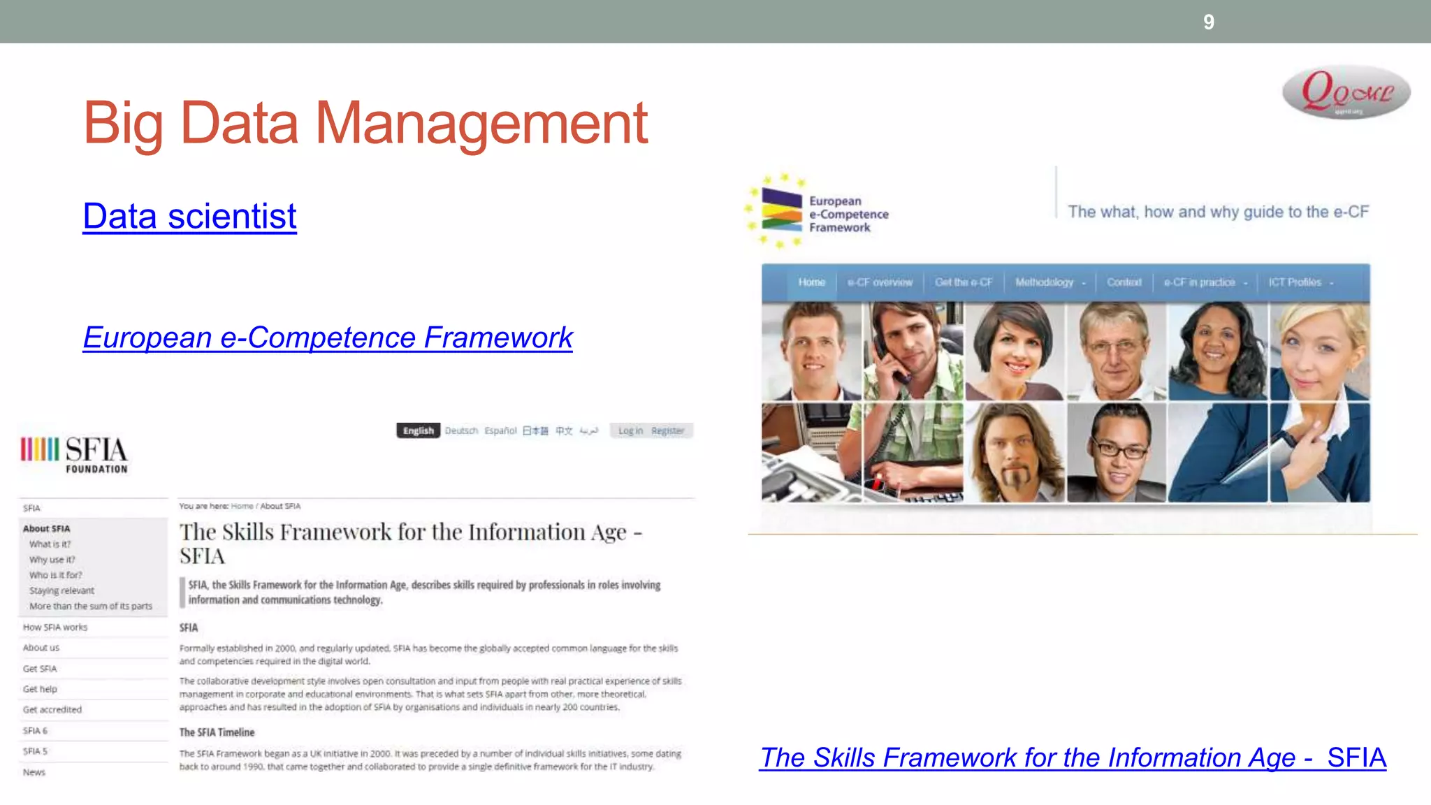 Big Data Management
Data scientist
European e-Competence Framework
9
The Skills Framework for the Information Age - SFIA
 