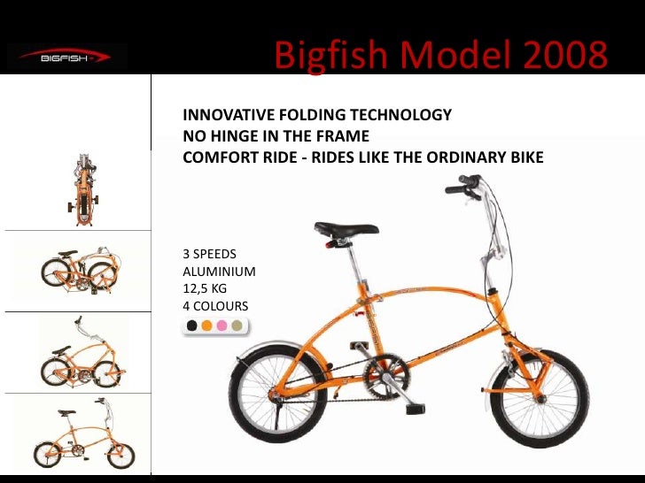 bigfish folding bike
