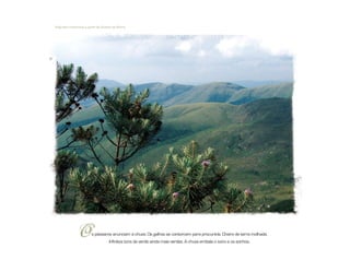 Vista das montanhas a partir do Quintas do Morro
s pássaros anunciam a chuva. Os galhos se contorcem para procurá-la. Cheiro de terra molhada.
Infinitos tons de verde ainda mais verdes. A chuva embala o sono e os sonhos.
O
 