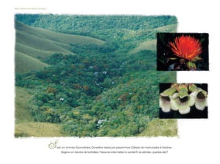 Mata Atlântica da estação ecológica
ubir em árvores. Esconderijos. Conselhos dados por passarinhos. Coleção de machucados e histórias.
Viagens em bandos de borboleta. Tesouros enterrados no quintal. E as estrelas, quantas são?
S
 