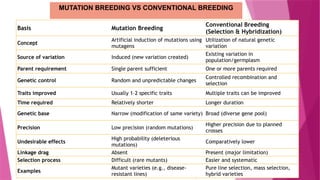 Mutation Breeding Examples Comprehensive Overview of Mutation Breeding in Crop Improvement | PPTX
