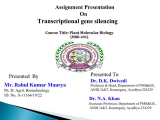 Course Title: Plant Molecular Biology
(MBB-601)
Assignment Presentation
On
Transcriptional gene silencing
Mr. Rahul Kumar Maurya
Ph. D. Agril. Biotechnology
ID. No. A-11164/19/22
Dr. D.K. Dwivedi
Professor & Head, Department of PMB&GE,
ANDUA&T, Kumarganj, Ayodhya-224229
Associate Professor, Department of PMB&GE,
ANDUA&T, Kumarganj, Ayodhya-224229
Dr. N.A. Khan
Presented To
Presented By
 